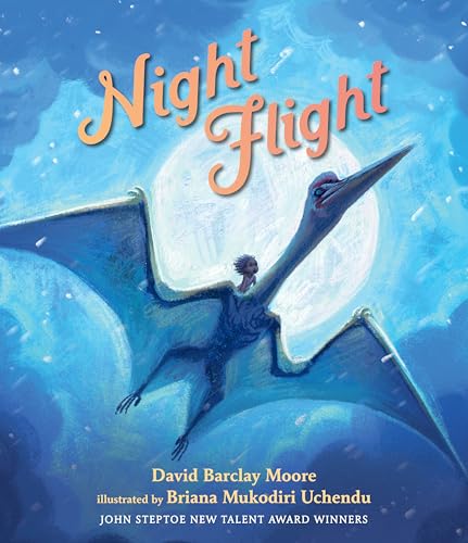 Cover of Night Flight