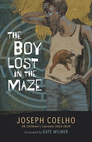 Cover of Boy Lost in the Maze