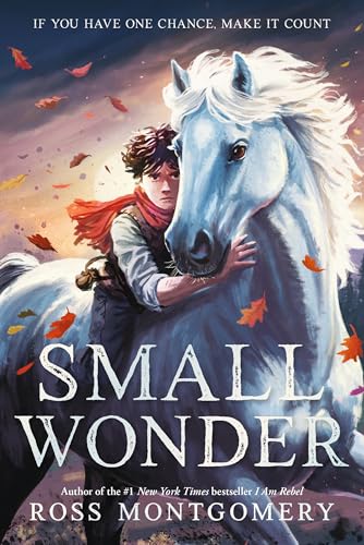 Small Wonder book cover