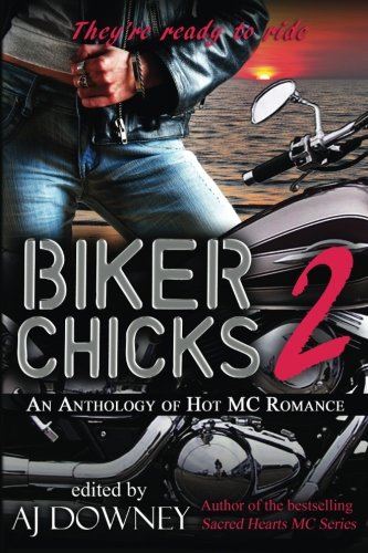 Biker Chicks: Volume 2 book cover