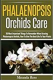 Phalaenopsis Orchids Care 30 Most Important Things To Remember When Growing Phalaenopsis Orchids Orchids Care Gardening Techniques Volume 2