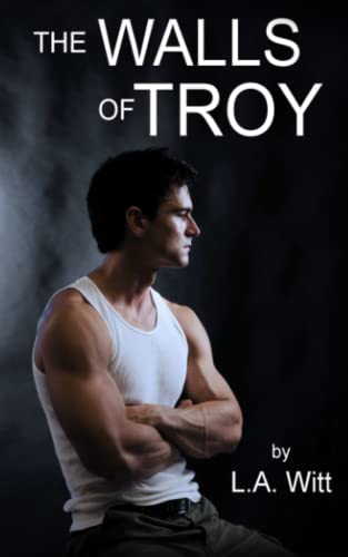 The Walls of Troy book cover