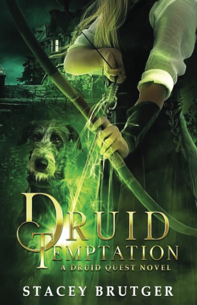 Druid Temptation book cover