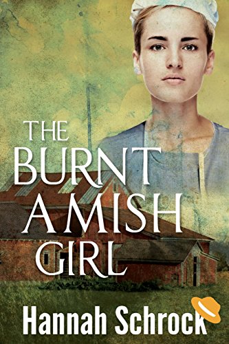 The Burnt Amish Girl book cover