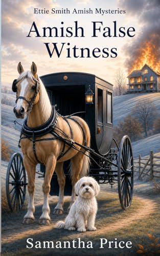 Amish False Witness book cover