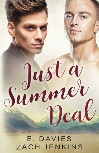 Just a Summer Deal book cover