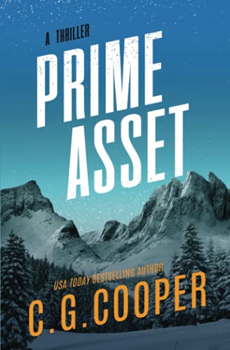 Prime Asset book cover