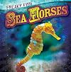 Sea Horses (Freaky Fish)