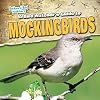 A Bird Watcher's Guide to Mockingbirds (Backyard Bird Watchers)