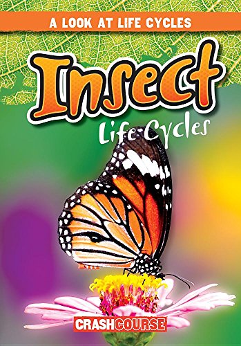 Cover of Insect Life Cycles