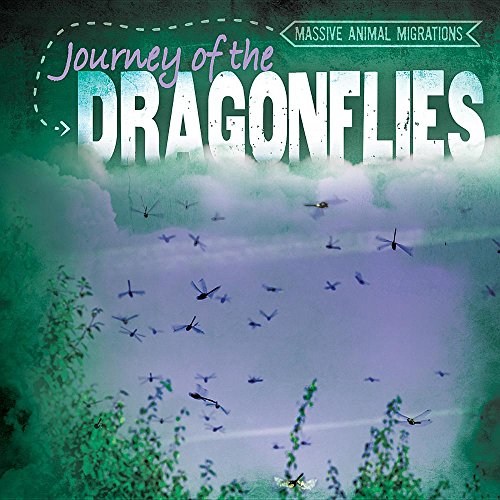 Cover of Journey of the Dragonflies