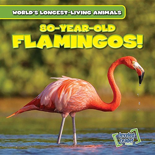 Cover of 80-Year-Old Flamingoes!
