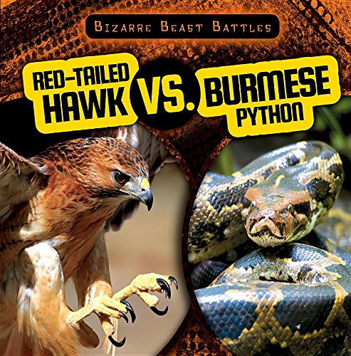 Cover of Red-Tailed Hawk vs. Burmese Python
