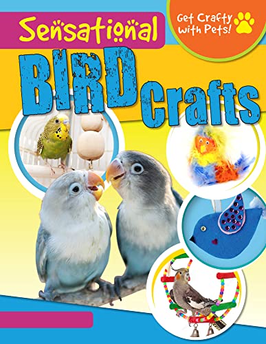 Cover of Sensational Bird Crafts
