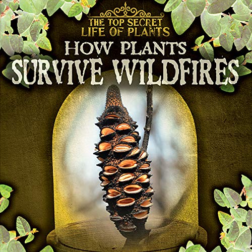 Cover of How Plants Survive Wildfires