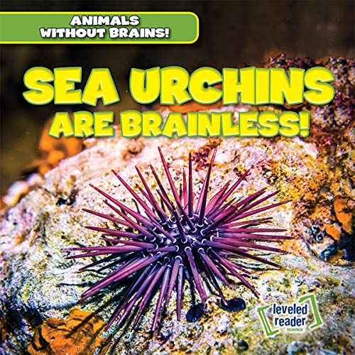 Cover of Sea Urchins Are Brainless!