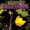 Bladderworts Have a Vacuum Trap! (World's Weirdest Plants)