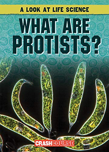 Cover of What Are Protists?