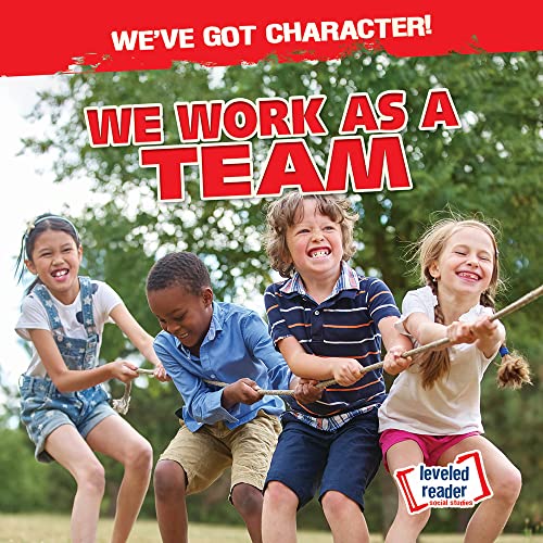 Cover of We Work As a Team