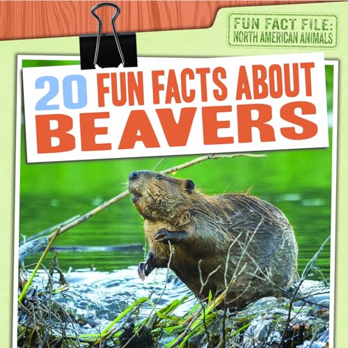 Cover of 20 Fun Facts about Beavers