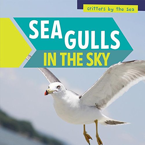 Cover of Sea Gulls in the Sky