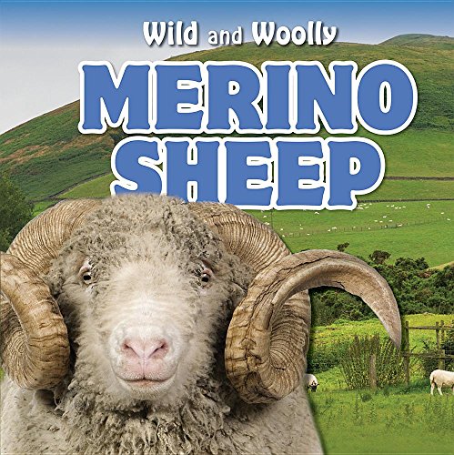 Cover of Merino Sheep