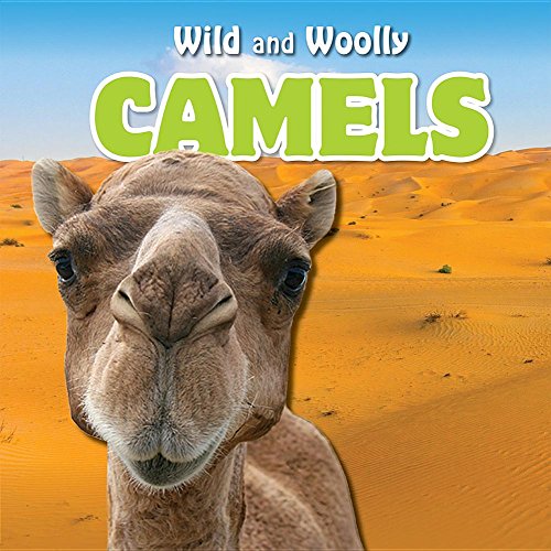 Cover of Camels