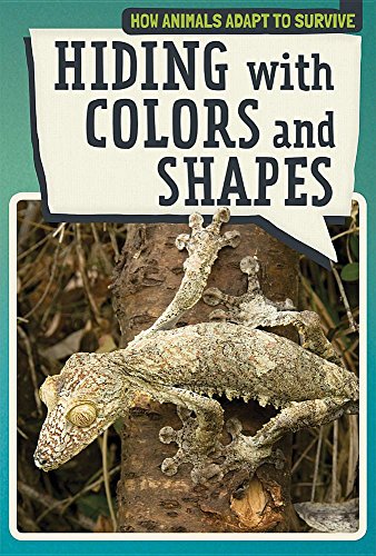 Cover of Hiding with Colors and Shapes