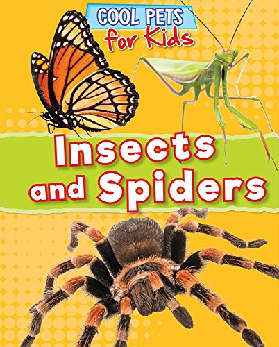 Cover of Insects and Spiders
