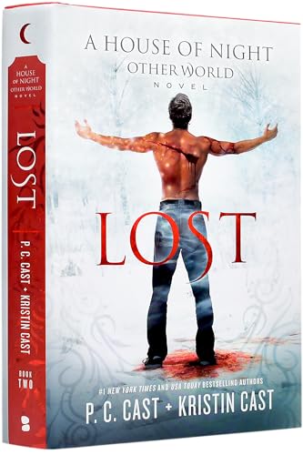 Lost book cover