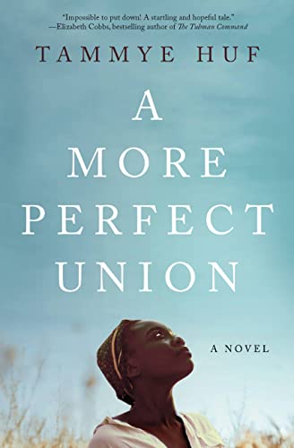 A More Perfect Union book cover
