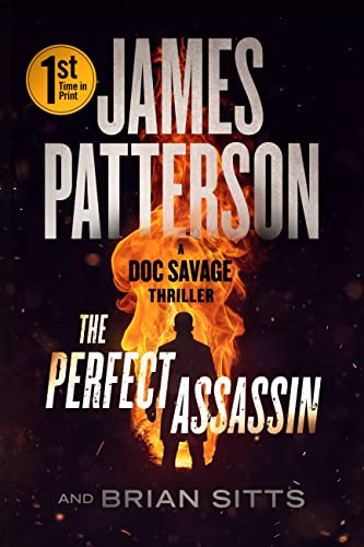 The Perfect Assassin book cover