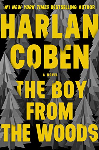 The Boy from the Woods / Wild book cover