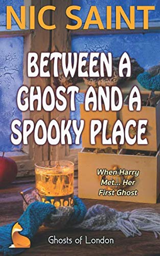 Between a Ghost and a Spooky Place book cover