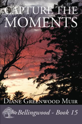 Capture the Moments book cover