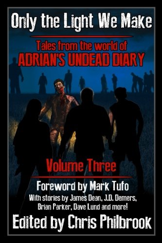 Only the Light We Make book cover