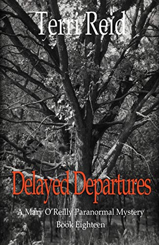 Delayed Departures book cover
