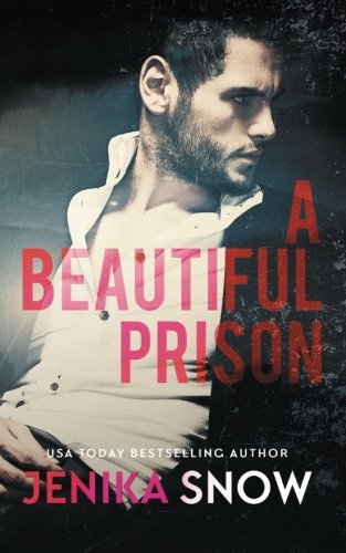 A Beautiful Prison book cover