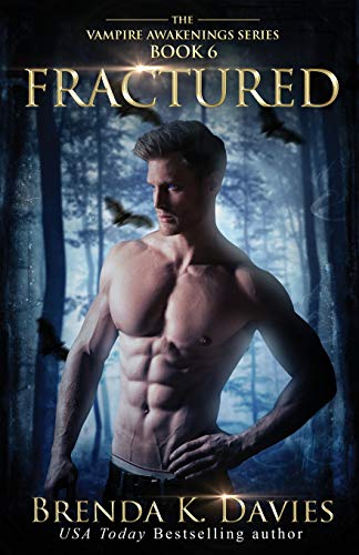 Fractured book cover