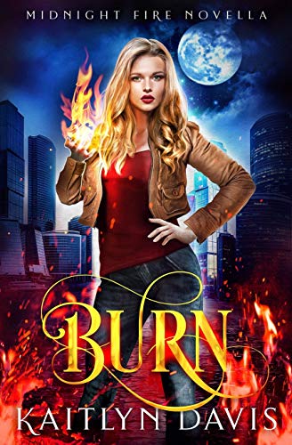 Burn book cover