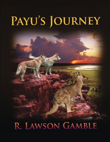 Payu's Journey book cover
