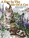 A Day In The Life Of A Cat Adult Coloring Book