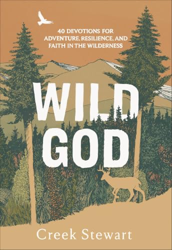 Wild God book cover