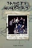 Safety In Numbers My Journey With La Punk Rock Gangs 19821992