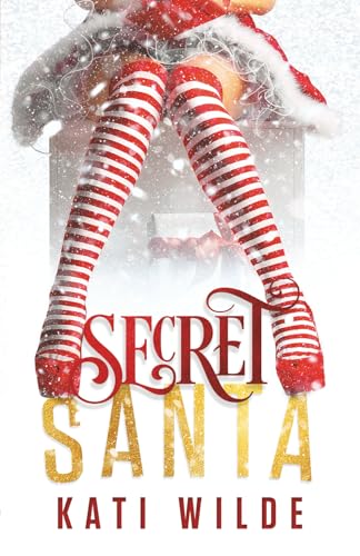 Secret Santa book cover