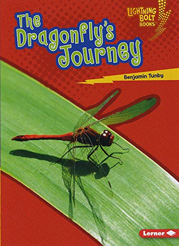 Cover of Dragonfly's Journey