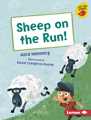 Sheep On The Run! book cover