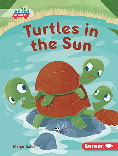 Cover of Turtles in the Sun