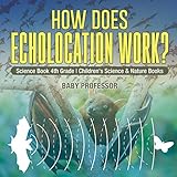 How Does Echolocation Work Science Book 4th Grade Childrens Science Nature Books