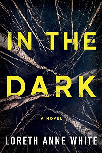 In the Dark cover